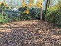 Large backyard with mature trees and foliage covered with fall leaves in the autumn sunshine at 1692 Shirley Sw St, Atlanta, GA 30310