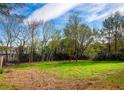 Expansive green backyard perfect for outdoor activities with a backdrop of lush trees and blue sky at 221 Cobb St, Palmetto, GA 30268
