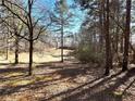 A scenic view of the property's vast, wooded backyard providing a sense of nature and privacy at 1091 Summer Lake Rd, Lithia Springs, GA 30122