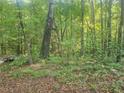 Lush wooded area, a serene landscape with abundant trees and foliage at 340 Pat Rich, Canton, GA 30115