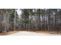 Gravel driveway surrounded by lush trees and foliage at 559 Quail Trail Rd, Auburn, GA 30011