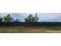 Long backyard with privacy provided by a tall, dark wooden fence at 11700 Brightside Pkwy, Hampton, GA 30228