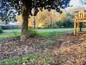 Overlooking the backyard showing a large tree and the edge of the back deck at 120 Mossy Brook Dr, Stockbridge, GA 30281