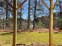 Backyard with fresh sod and trees surrounding a lake viewed from a covered back porch at 2021 Shallowford Rd, Marietta, GA 30066