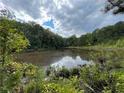 Secluded wooded area featuring a tranquil pond surrounded by lush vegetation at 744 Hampton Locust Grove Rd, Hampton, GA 30228