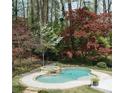 Landscaped backyard features a beautiful pool and spa surrounded by lush greenery and mature trees at 3117 W Roxboro Ne Rd, Atlanta, GA 30324