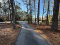 Winding driveway through a wooded area leading to the property at 3121 Bonds Lake Nw Rd, Conyers, GA 30012