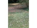 Picture of an expansive grassy lawn with vibrant green grass at 3042 Santa Monica Dr, Decatur, GA 30032