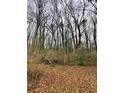 Image of a wooded lot with mature trees and a ground covered in autumn leaves at 3230 Altacrest Dr, Scottdale, GA 30079