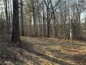 View of backyard with natural landscape at 155 Emily Dr, Whitesburg, GA 30185