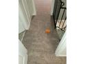 Hallway with neutral carpet and white-painted trim and doors at 2627 Evans Mill Dr, Lithonia, GA 30058