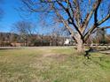 A large front yard with mature trees creating shade near the street at 46 Mac Johnson Nw Rd, Cartersville, GA 30121
