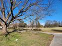 Spacious lawn with mature trees casting shadows, sidewalk, and a glimpse of houses in the background at 46 Mac Johnson Nw Rd, Cartersville, GA 30121