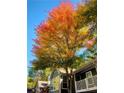 Beautiful fall tree stands in the foreground of this building exterior with stairs to reach the 2nd story balcony at 810 Berkeley Woods Dr, Duluth, GA 30096