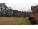 Large backyard featuring mature trees and an open space at 1205 Peeksville Rd, Locust Grove, GA 30248