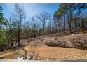 A well-maintained backyard features terraced landscaping and wooded views from the patio at 139 Stargaze Rdg, Canton, GA 30114