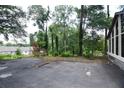 Spacious driveway area surrounded by lush greenery and landscaping at 4011 Florida Ave, Atlanta, GA 30360