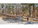 Long, winding driveway with a white fence offering privacy and leading to the home through a wooded landscape at 105 Leisure Trl, Peachtree City, GA 30269