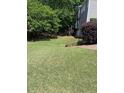 Large grassy backyard with trees and minimal landscaping on a sunny day at 251 Waterford Cove Dr, Suwanee, GA 30024