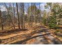 Long driveway winding through a wooded lot, offering privacy and a touch of nature at 150 Hillred Dr, Fayetteville, GA 30215