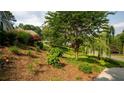 Landscaped front yard with terraced garden beds, mature trees, and lush greenery along a paved driveway at 210 Wrights Mill Way, Canton, GA 30115