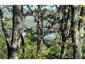 Picturesque wooded view through trees with a lake visible in the distance at 330 Tupelo Trl, Canton, GA 30114