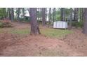 Wooded backyard featuring plenty of mature trees and an outbuilding at 7356 Caribou Trl, Riverdale, GA 30296