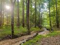 Lush creek surrounded by tall trees in a peaceful, wooded setting at 150 Melody Ln, Fayetteville, GA 30215