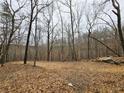 View of the land with fallen leaves and bare trees, showcasing the natural setting at 1344 Brushy Mountain Rd, Rockmart, GA 30153