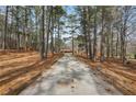 Long driveway leading up to a charming home surrounded by mature trees and natural landscape at 4009 Highway 138 Sw, Stockbridge, GA 30281