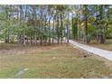 Long driveway leading to the home through a lush, wooded landscape at 612 Saddlewood Dr, Lawrenceville, GA 30043