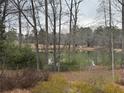 This backyard view overlooks a private lake with mature trees, a chain link fence and native grasses at 3423 Conley Downs Drive, Powder Springs, GA 30127