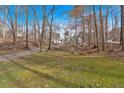 Lush landscape with mature trees and greenery surrounding the home's property at 300 Mill Creek Ct, Acworth, GA 30101