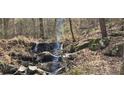Scenic view of a creek flowing over rocks and through the woods, adding a natural element to the landscape at 3640 Chandler Haulk Rd, Loganville, GA 30052