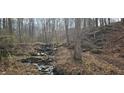 Natural flowing creek, winding through a wooded area, creating a peaceful and serene environment at 3640 Chandler Haulk Rd, Loganville, GA 30052