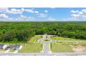 Aerial shot of a community entrance featuring meticulously manicured lawns, sidewalks and mature trees at 8599 Secretariat Dr, Lithonia, GA 30058