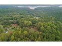 Stunning aerial view of lush greenery, with a lake visible in the distance at 6791 Yacht Club Dr, Acworth, GA 30102