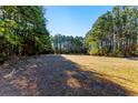 Open plot of land surrounded by trees, ideal for development or recreational use, under a blue sky at 1515 Ozora Rd, Loganville, GA 30052