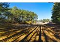 Expansive view of the land, highlighted by mature trees, showcasing the property's natural beauty at 1515 Ozora Rd, Loganville, GA 30052