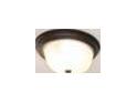Close-up of a ceiling light fixture at 718 Ocmulgee Crossing, Locust Grove, GA 30248
