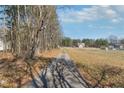 Long private driveway leading to a home on a spacious lot with mature trees at 403 Keys Ferry Rd, Mcdonough, GA 30252