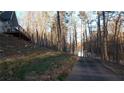 Long driveway surrounded by mature trees leading to the home and lake at 8155 Stone Hill Rd, Cumming, GA 30028