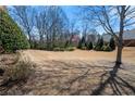 Expansive backyard features a well-maintained lawn perfect for outdoor activities at 2330 Ventana Xing # 10, Marietta, GA 30062