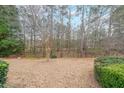 Large backyard with a backdrop of mature trees offering privacy at 3916 Abbott Way # 2, Powder Springs, GA 30127