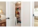 Organized closet with shelves, containing household items and storage boxes in a well-lit space at 2196 Abbott Dr, Buford, GA 30519