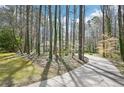 Long driveway leading to a well-maintained home nestled among mature trees and natural surroundings at 4859 Clark Lake Nw Way, Acworth, GA 30102