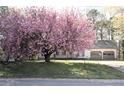 Lovely single-story home with a blossoming tree, well-maintained lawn, and a two-car garage at 184 Brandywine Dr, Douglasville, GA 30134