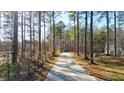 A long, paved driveway winds through a wooded area, leading to the property for added privacy and seclusion at 1312 Mcgarity Rd, Temple, GA 30179