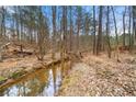 Scenic creek running through the wooded backyard of the property, offering a tranquil natural setting at 3999 Craggy Perch, Douglasville, GA 30135