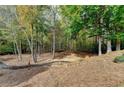 Secluded backyard space featuring mature trees, a stone walkway, and natural wooded views at 4070 Preserve Crossing Ln, Cumming, GA 30040